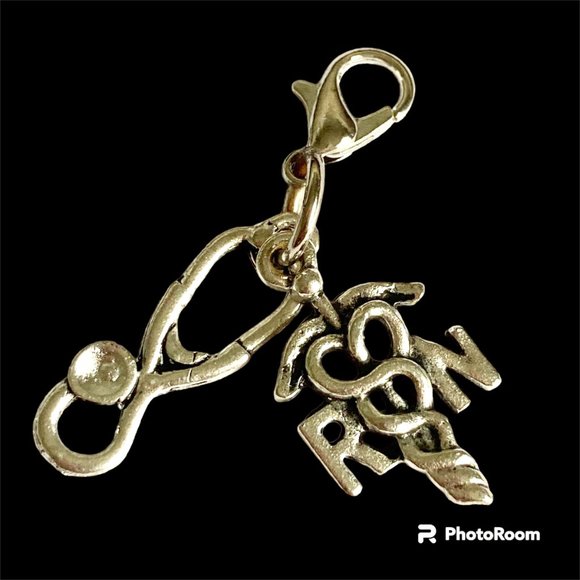Medical Nursing RN Caduceus Stethoscope Clip On Charm Bracelet Zipper Pull - Picture 2 of 6